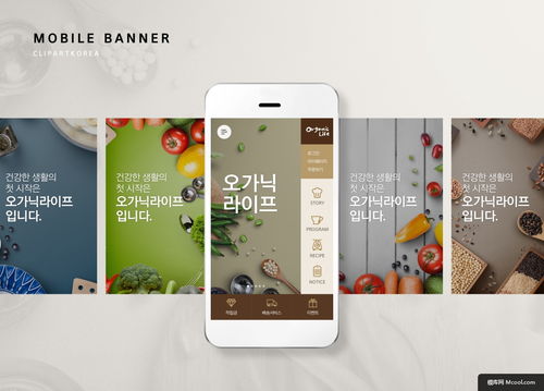 蔬果雜糧保健素食 健康食品APP研發(fā)與UI設(shè)計(jì)展示